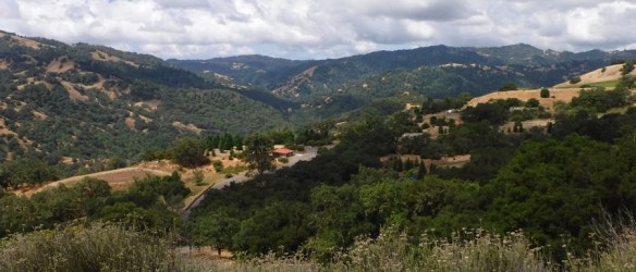 LakeSonomaHeader